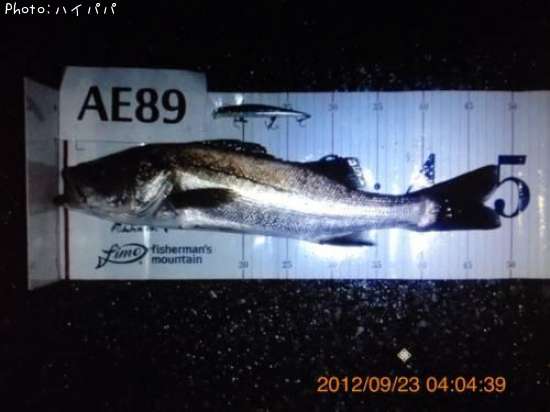 �����Х�