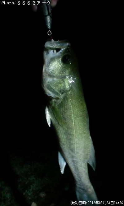 �֥�å��Х�