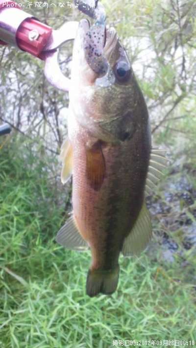 �֥�å��Х�