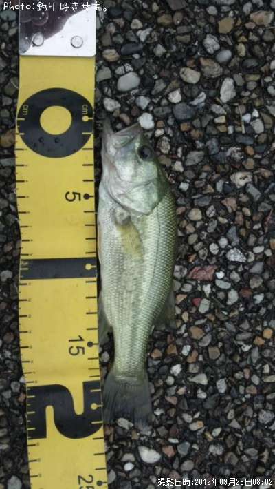 �֥�å��Х�