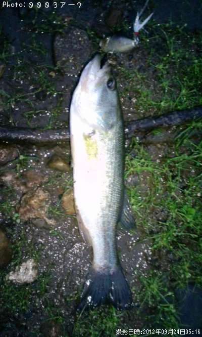 �֥�å��Х�