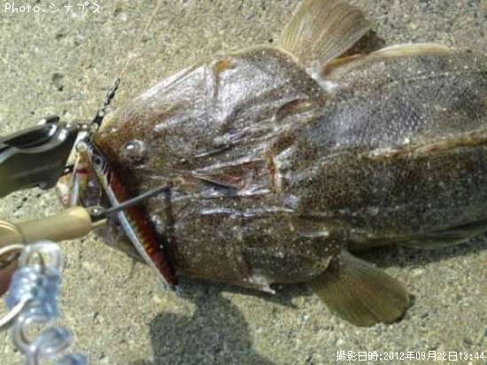 �ڥޥ�����