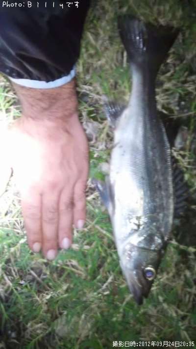 �����Х�