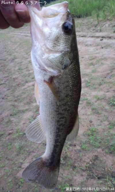 �֥�å��Х�