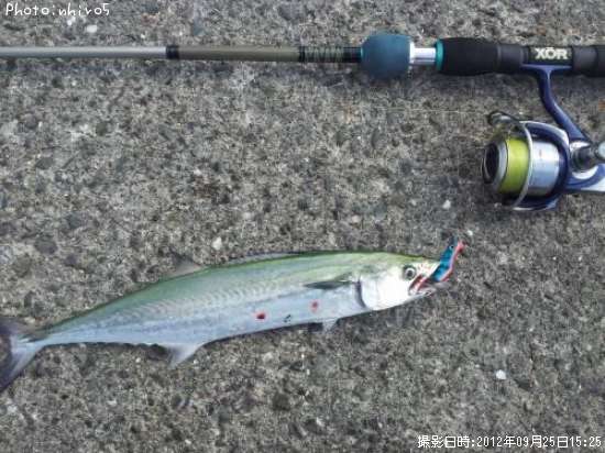 �����å���