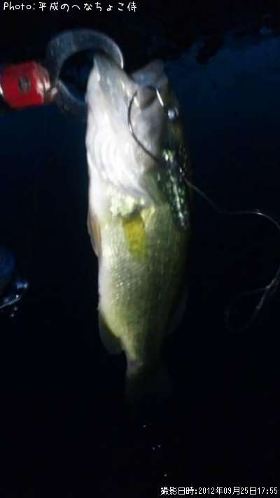 �֥�å��Х�