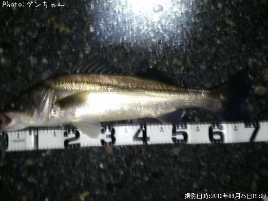 �����Х�