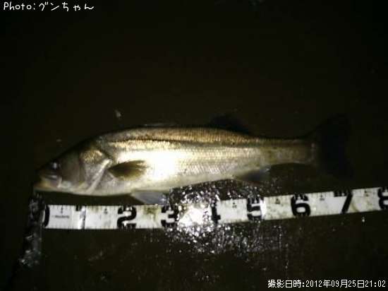 �����Х�