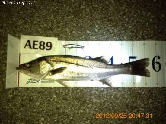 �����Х�