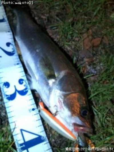 �����Х�