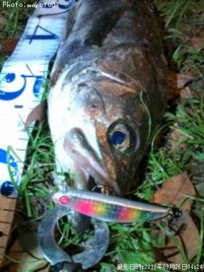 �����Х�