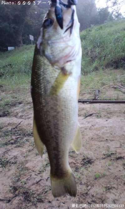 �֥�å��Х�