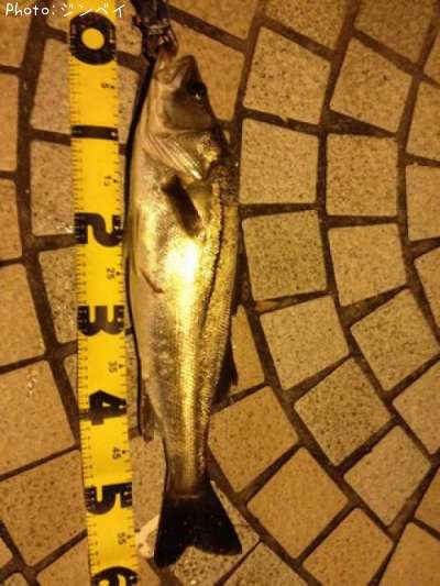 �����Х�