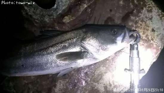 �����Х�