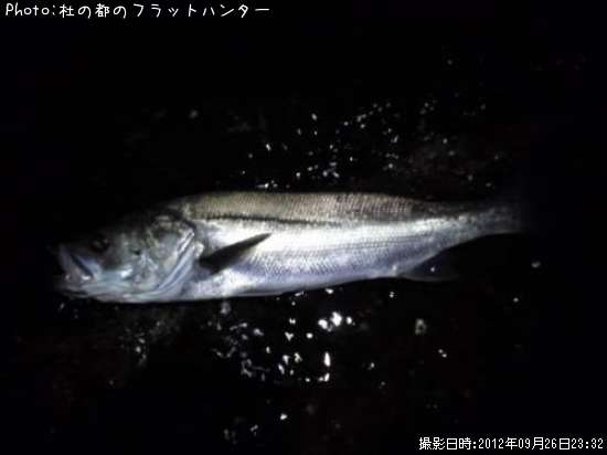 �����Х�