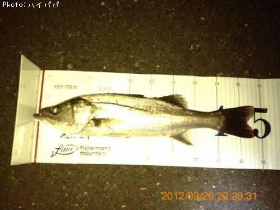 �����Х�