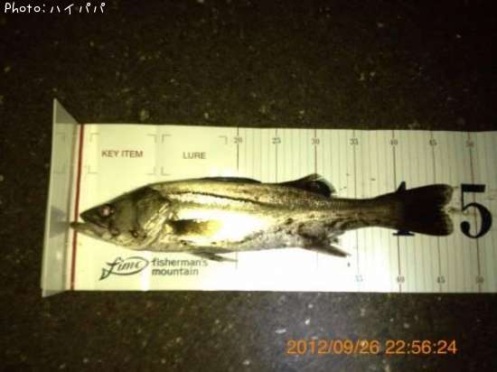 �����Х�