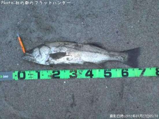 �����Х�