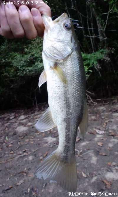 �֥�å��Х�