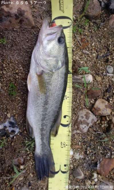 �֥�å��Х�