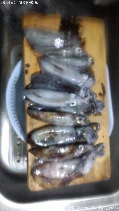 �����ꥤ��