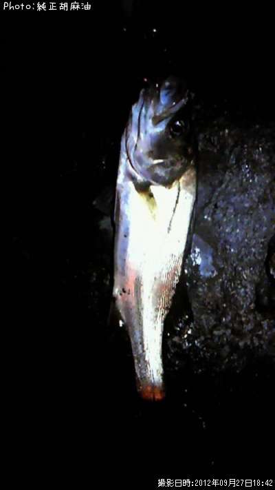 �����Х�