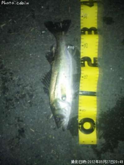 �����Х�