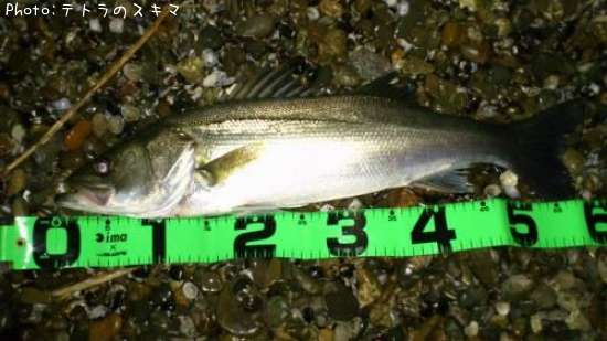 �����Х�