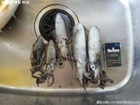 �����ꥤ��