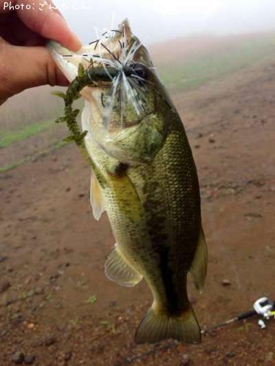 �֥�å��Х�