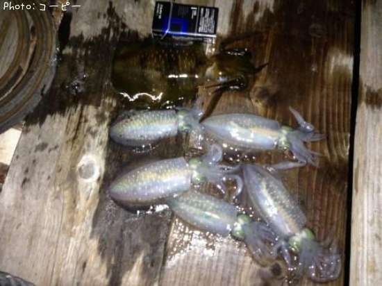 �����ꥤ��