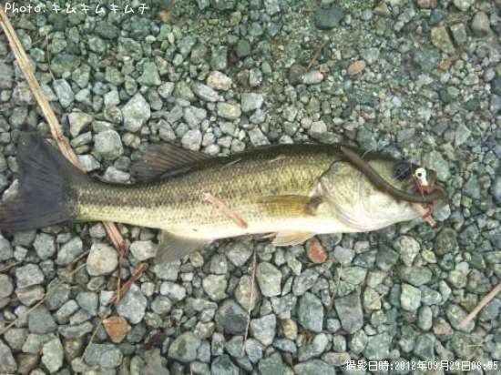 �֥�å��Х�