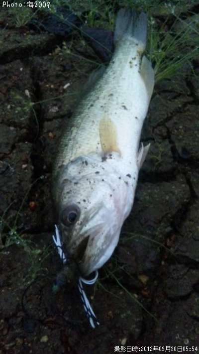 �֥�å��Х�