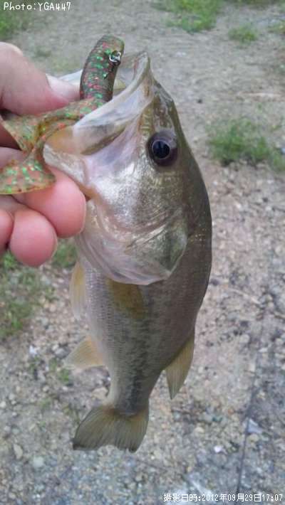 �֥�å��Х�