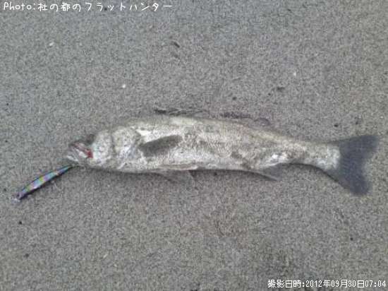 �����Х�