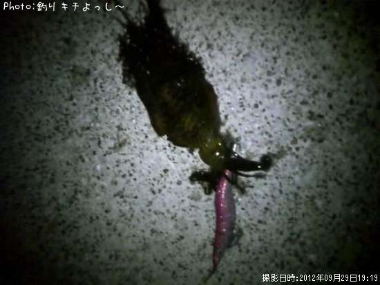 �����ꥤ��