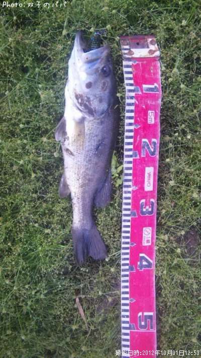 �֥�å��Х�