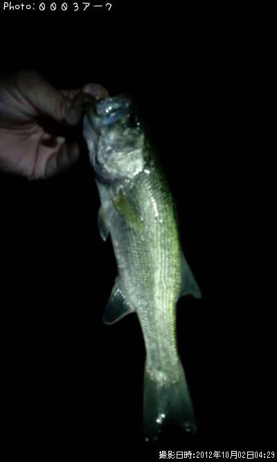 �֥�å��Х�