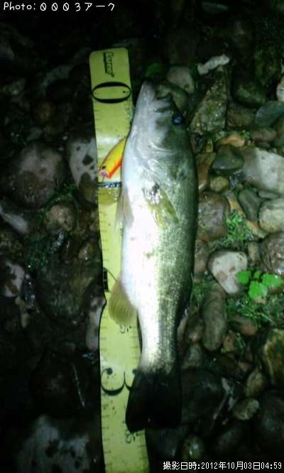 �֥�å��Х�