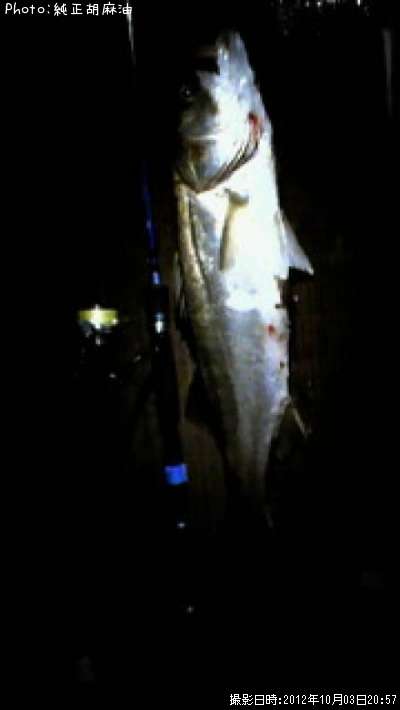 �����Х�