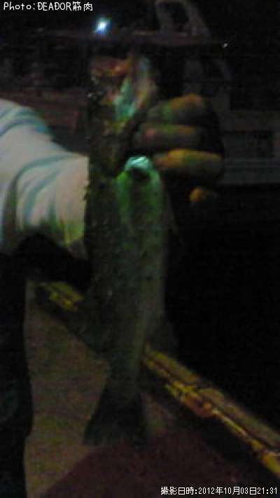 �����Х�