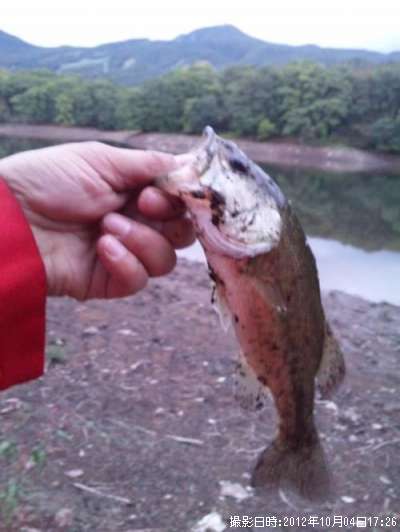 �֥�å��Х�