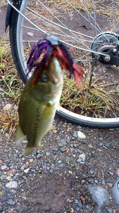 �֥�å��Х�