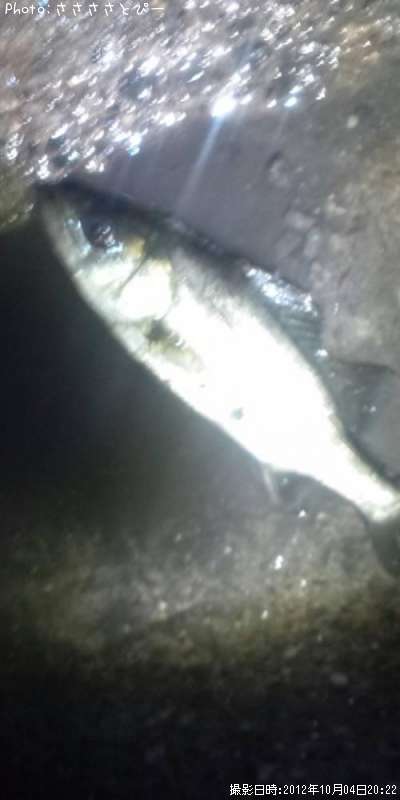 �����Х�