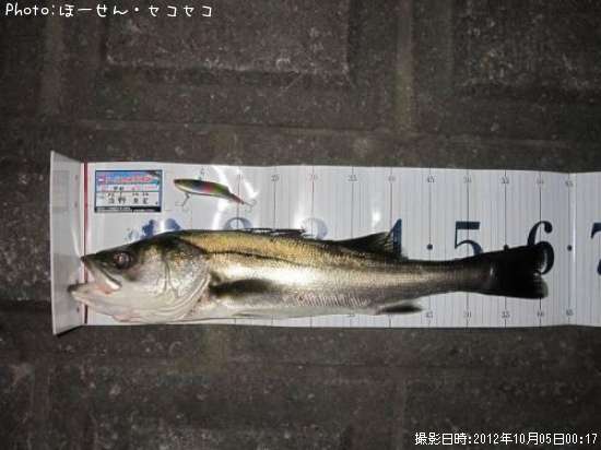 �����Х�