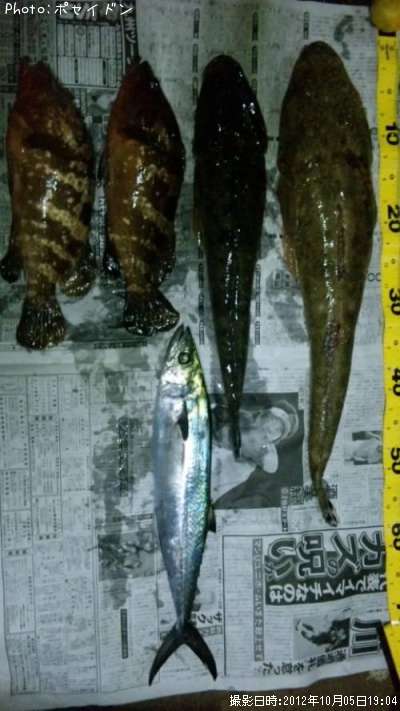 �ޥ�������������������