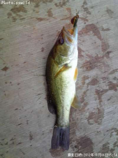 �֥�å��Х�