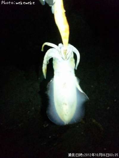 �����ꥤ��