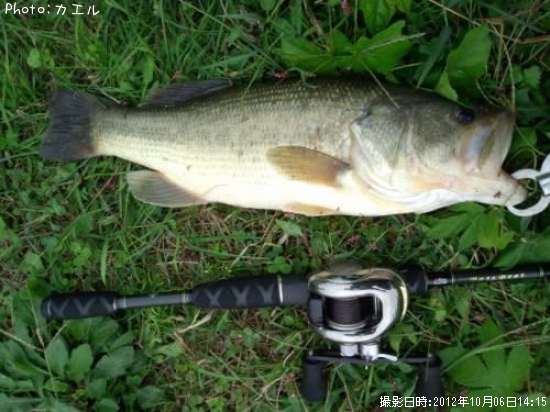 �֥�å��Х�