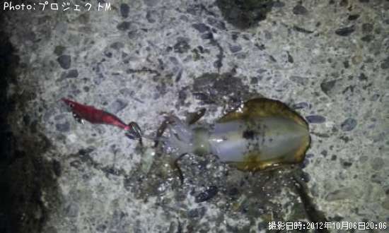 �����ꥤ��